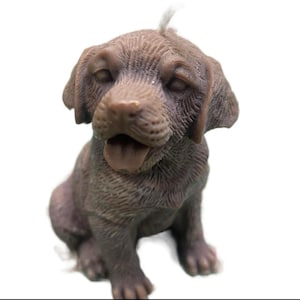 May include: A brown and white puppy dog candle, sitting with its tongue sticking out. The candle is made to look like a real puppy.