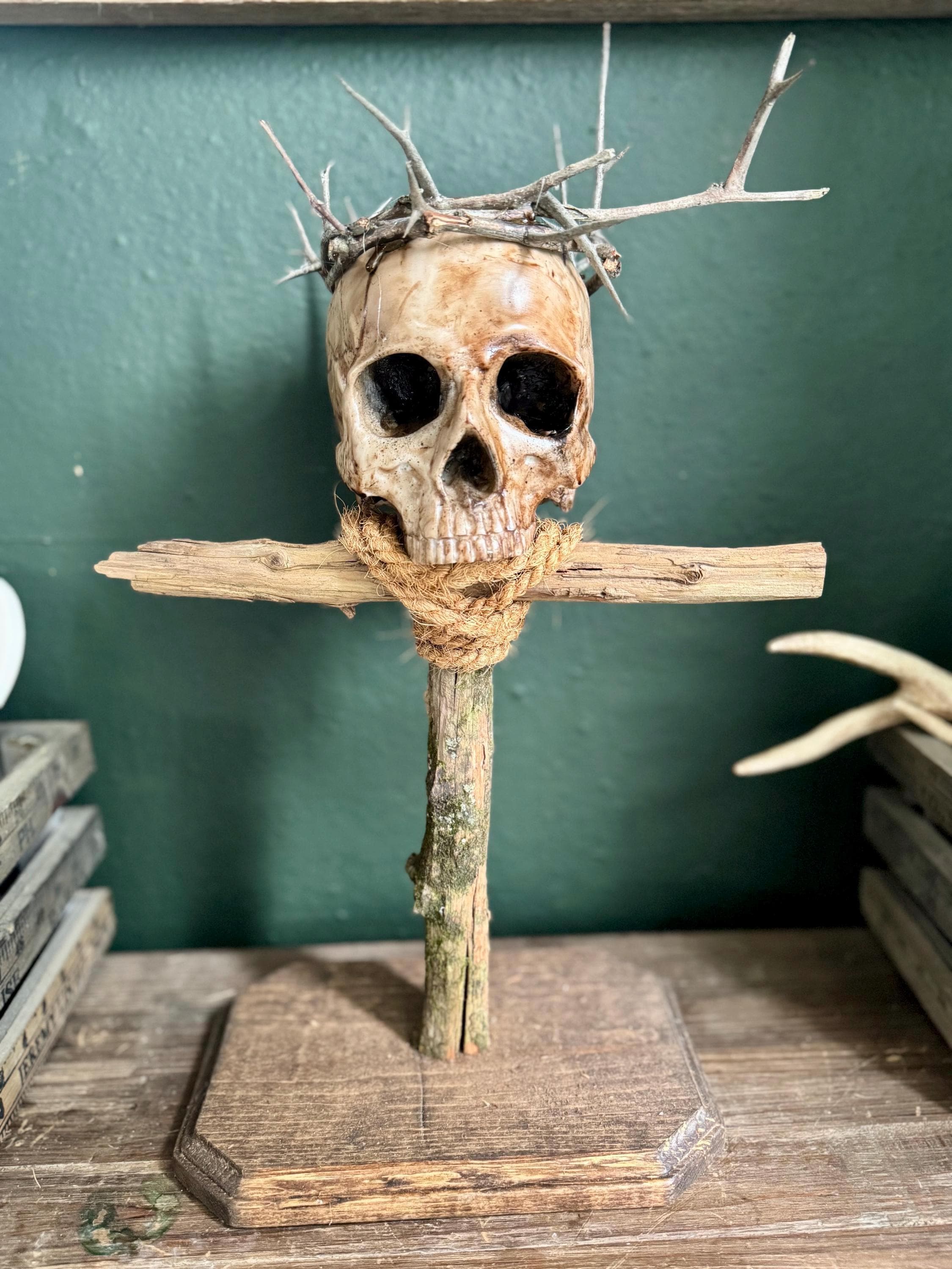 Thorn Crown Skull - Etsy