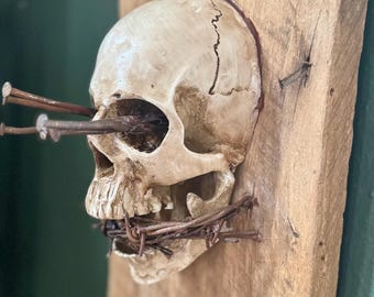 Human Skull replica on Barnwood