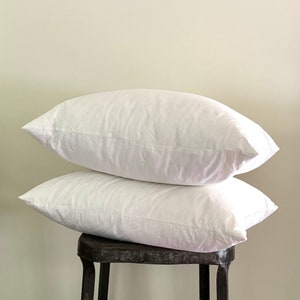 Down Feather Pillow Insert - 22 x 22