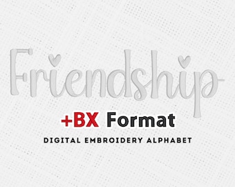 Friendship Handwritten Font Machine Embroidery BX Embroidery Fonts Applique Instant Download 6 Sizes 8 Formats BX