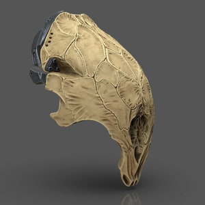 Könnte beinhalten: Eine beige und braune Totenkopfmaske mit einem schwarzen und grauen mechanischen Detail an der Seite. Die Maske hat eine strukturierte Oberfläche und scheint aus einem harten Material zu sein.