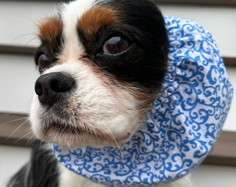 Cavalier Snood ~ Blue  Scroll