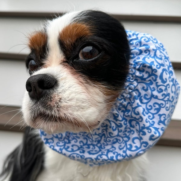 Cavalier Snood ~ Blue  Scroll