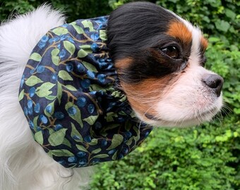 Snood Cavalier ~ Myrtille