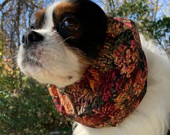 Cavalier Snood ~ Autumn Colors