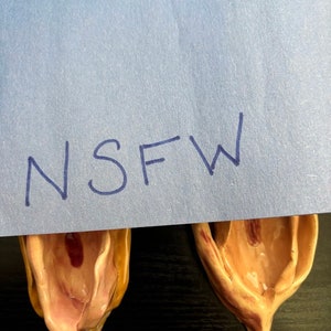 NSFW Vulva