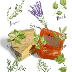 May include: An illustrated graphic featuring the word "HERBS" at the top. The image showcases various herbs like thyme, lavender, basil, oregano, parsley, rosemary, dill, sage, and mint, along with two wrapped soap bars.