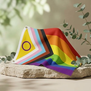 May include: A rectangular intersex-inclusive progress pride flag featuring a yellow triangle with a purple circle on the left, followed by horizontal stripes in light blue, pink, white, brown, black, red, orange, yellow, green, blue, and violet.