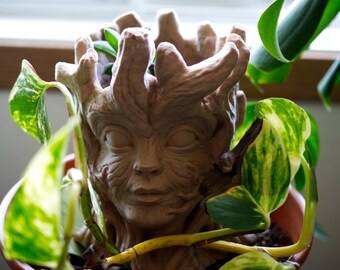 Wood Nymph Planter
