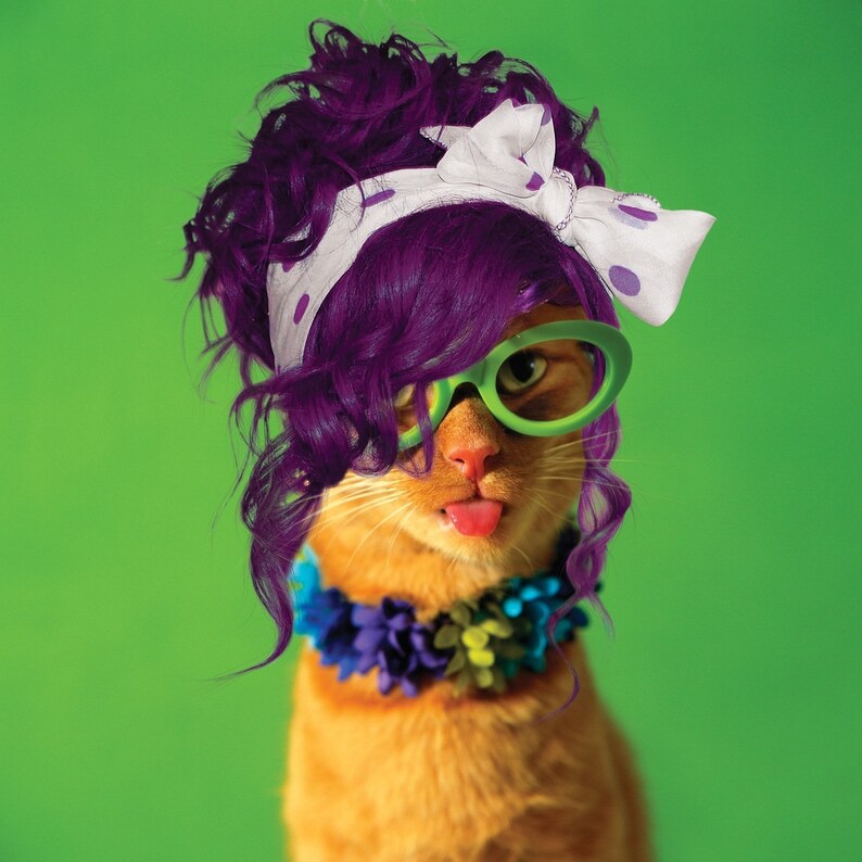 May include: A ginger cat wearing a purple wig, green glasses, and a colourful flower garland. The cat is sticking its tongue out.