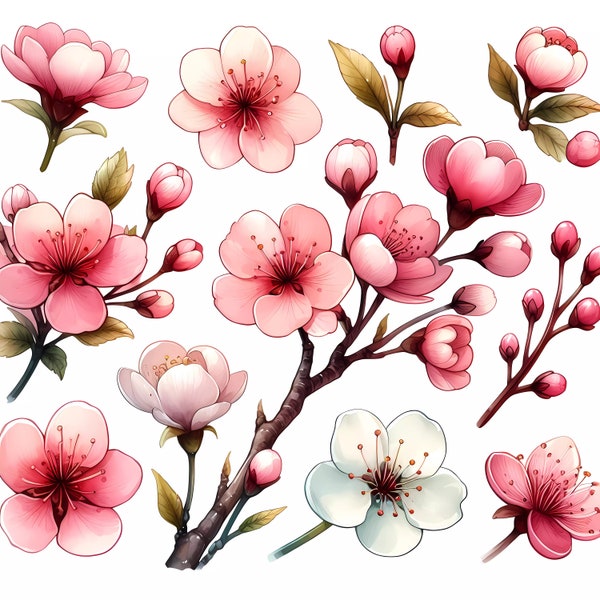 Sakura cliparts, flower decorations for cards, posters, planners 8192x8192, 96 DPI -  62 collective graphics, Amazon KDP, DIY