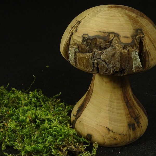 champignon décoratif en bois tourné, idée cadeau original, décoration artisanal