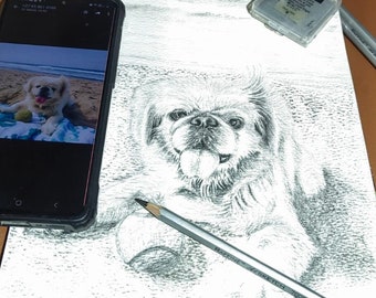 Pencil Drawing Pet Animal Art- 100% Hand drawn