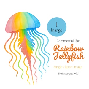 Op de afbeelding: Een aquarel illustratie van een regenboogkwal met een gestreepte bel en golvende tentakels. De afbeelding bevat de tekst "Rainbow Jellyfish" en "Single Clipart Image".