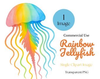 Rainbow Jellyfish PNG Clipart, Ocean Crafts, Pride Graphics, Sea Life Elements, Instant Download, Commercial Use, Single Image Clip Art file