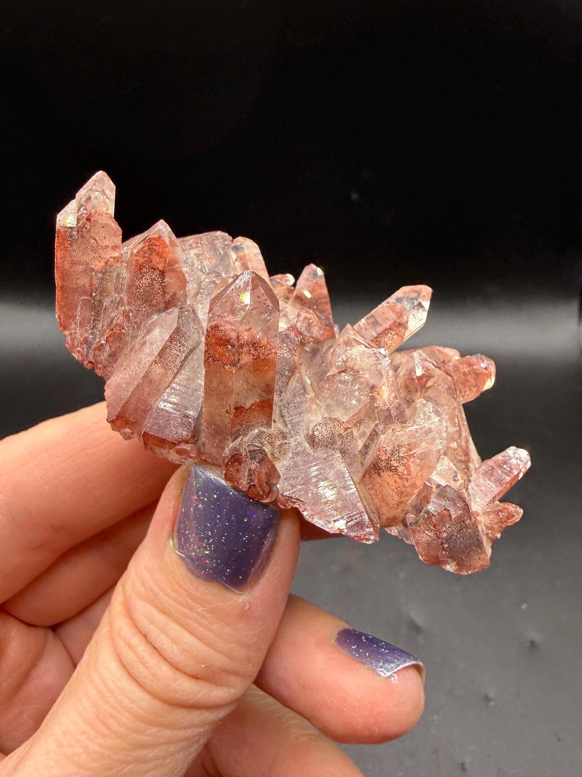 Zambia Red Phantom - Etsy