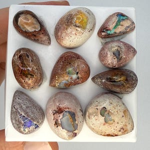 May include: Nine natural opal cabochons in various shapes and sizes, with a mix of brown, white, and iridescent colors. The opals are displayed on a white surface.