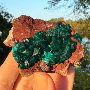 Dioptase on matrix from the Democratic Republic of Congo, DRC Minerals Rocks Crystals