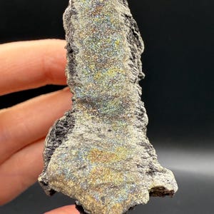 Permineralized fossilized wood with sparkling rainbow marcasite from Turkey. Natural sparkly specimen. Rocks Minerals Crystals