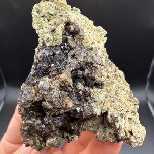 Black Garnet, Melanite Andradite Garnet from Veracruz, Mexico. Rocks Minerals Crystals