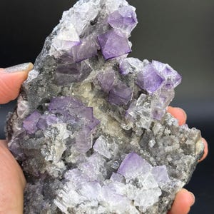 Purple fluorite with chalcedony on matrix from El Filo Mine, Durango, Mexico. Rocks Minerals Crystals