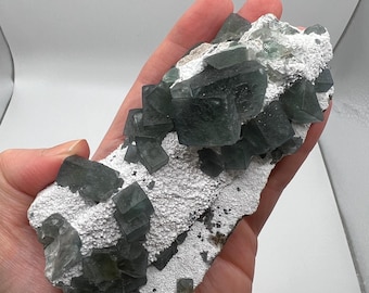 Morandi Fluorite with white quartz from Inner Mongolia, China Rocks Minerals Crystals