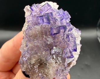 May include: A cluster of translucent purple fluorite crystals featuring distinct cubic formations. The mineral specimen displays deep violet hues concentrated in the center of the cubes, transitioning to lighter, clear edges across the jagged, crystalline surface.