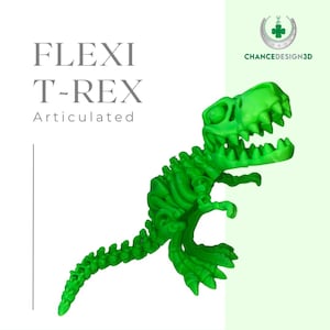 Articulated Flexi T-Rex Skeleton - Kids Toy - 3D Printed - Sensory Toy - Colorful - Desk Toy- Tyrannosaurus Rex Dinosaur - Collectible