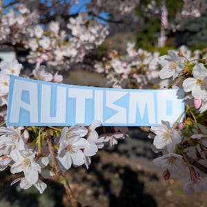 Autismo - Car Decal - Vinyl Sticker - Laptop Decal - JDM Inspired