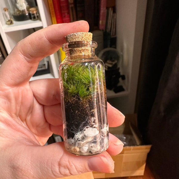 Mini Terrarium w/ Live Moss