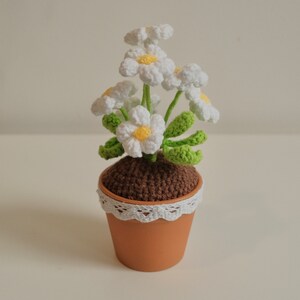 May include: A crocheted daisy flower pot with white flowers and green leaves. The pot is brown and has a white lace trim.