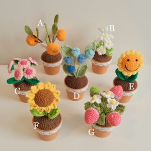 May include: A collection of 7 crocheted potted plants. The plants include a sunflower, a daisy, a strawberry, a blueberry bush, a pink flower, an orange tree, and a smiling sunflower. Each plant is in a small brown pot with white lace trim.