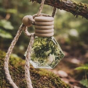 Air Freshener | Essential Oil Diffuser