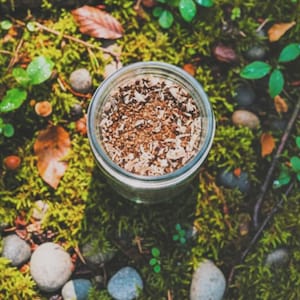 Mushroom Coffee (Chicory Root) imagem 2