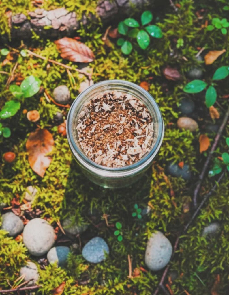 Mushroom Coffee (Chicory Root) imagem 2