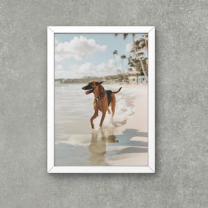 Palm Beach Print , Palm Beach Wall Art , Palm Beach Poster , Dogs Photo, Luxury Lifestyle Photography , High Society Print, Digital Download
