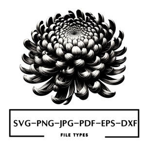 CHRYSANTHEMUM SVG | Flower SVG | Floral Svg | Black and White Flower Svg | Digital Download | Flower Png | Chrysanthemum Print Gardening Svg