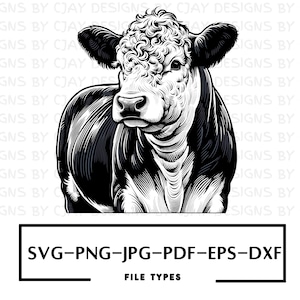 Hereford SVG | Hereford Vector | Hereford Laser Cut File | Bull Vector Graphic Art | Hereford Die Cut | Hereford Cricut | Hereford Clip Art