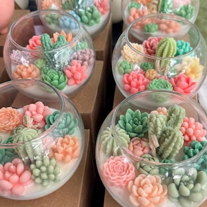 May include: Glass bowls filled with candles, adorned with colourful, sculpted succulent and cactus designs. The candles feature shades of pink, green, and peach, creating a miniature desert garden theme.