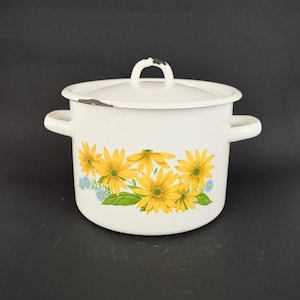 Vintage Enamel Cooking Pot, Blue and White Pot with Lid, Retro Casserole Pot, Flower White Cookware, Retro Enamel Pot with handles and lid