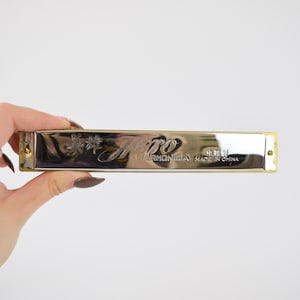 May include: A silver harmonica with gold trim and the text "Pro Harmonica Made in China" on the front.