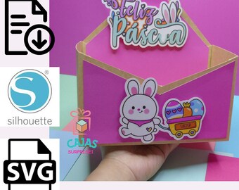 ENVELOPE TYPE TRAY