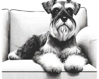 Miniature Schnauzer digital image sketch