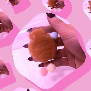 Taiyaki Taba Squishy