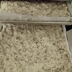 May include: Two rectangular baking pans filled with a light-colored batter speckled with dark seeds. The pans are in a dark oven, with one pan positioned above the other. The batter appears to be ready for baking.