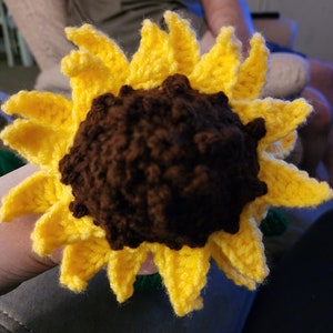 Sunflower Impkin image 4