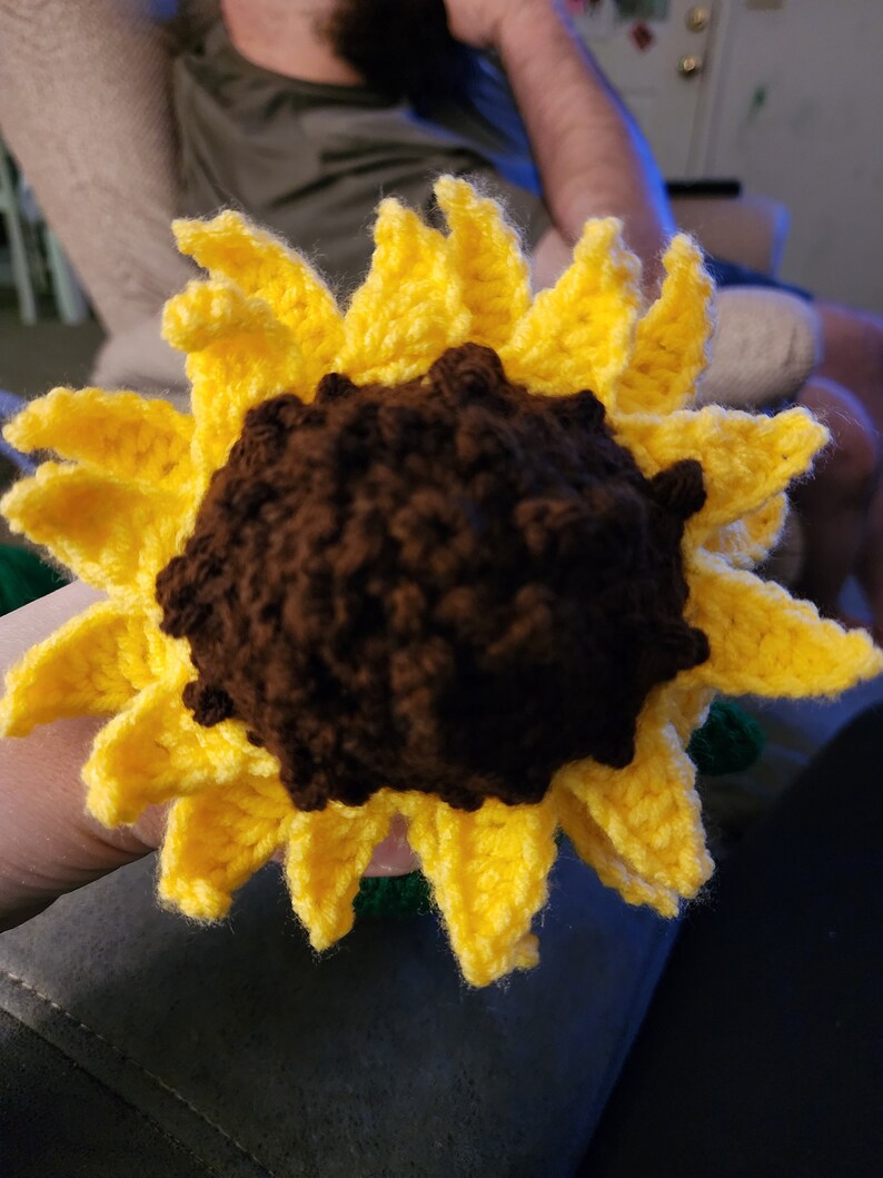 Sunflower Impkin image 4