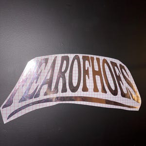 May include: A silver metallic sticker with the text "ZAROFHOES" in a curved, stylized font.