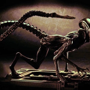Crawling alien sale doll